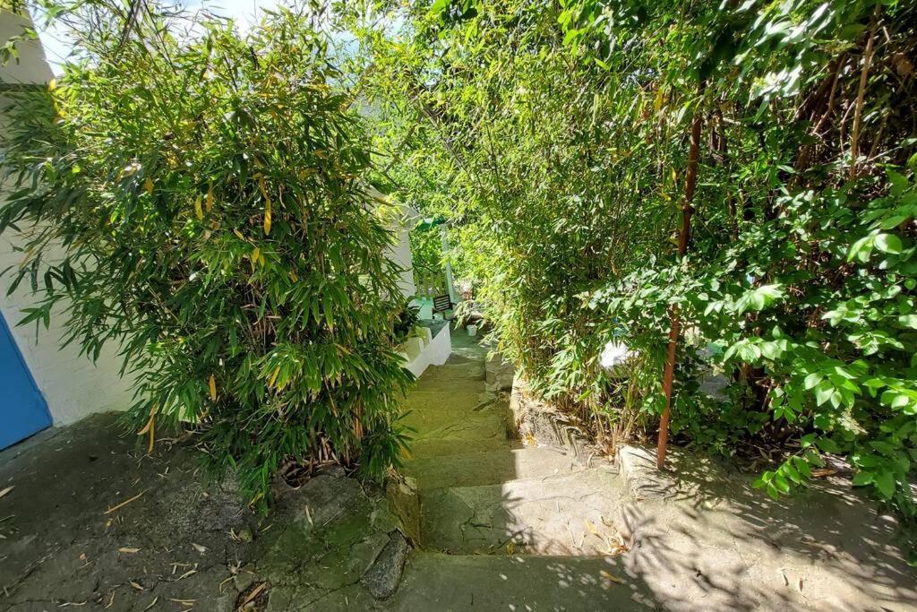 La Huerta Del Castillo Con Su Caz De Agua - Enjoy Life & Relax Castillo de Locubin ภายนอก รูปภาพ