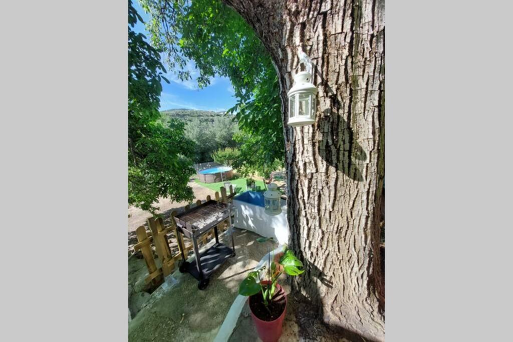 La Huerta Del Castillo Con Su Caz De Agua - Enjoy Life & Relax Castillo de Locubin ภายนอก รูปภาพ