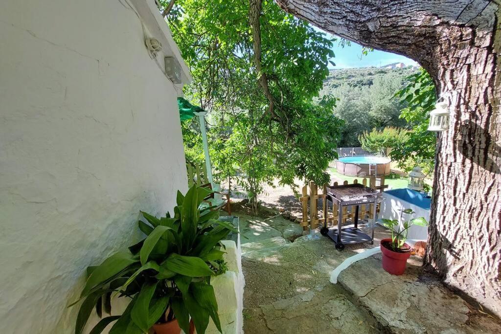 La Huerta Del Castillo Con Su Caz De Agua - Enjoy Life & Relax Castillo de Locubin ภายนอก รูปภาพ